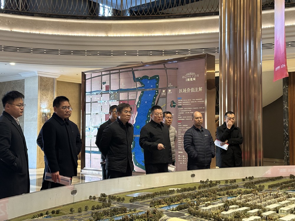 黨委書記、董事長汪洋調(diào)研開封項目并指導(dǎo)經(jīng)營發(fā)展工作